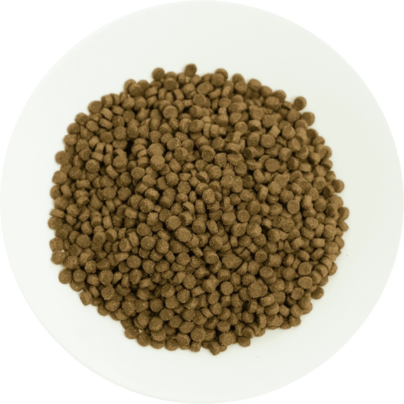 Prochoice Kitten Hypoallergenic Lamb 2kg + Prochoice Creamy 60gr (4x15gr)